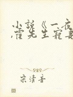 小说《一夜情深,霍先生宠妻无度》