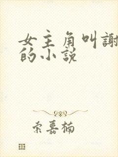 女主角叫谢琳琅的小说