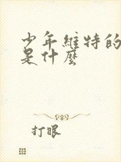 少年维特的烦恼是什么