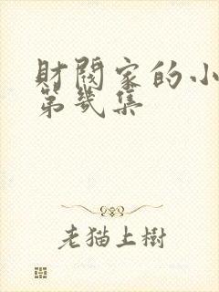 财阀家的小儿子第几集