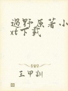 过野原著小说txt下载