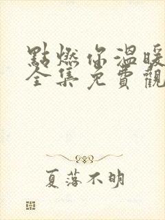 点燃你温暖了我全集免费观看