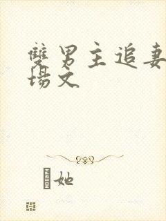 双男主追妻火葬场文