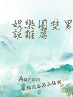 娱乐圈双男主小说推荐