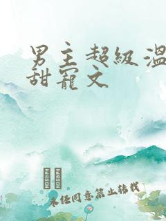 男主超级温柔的甜宠文