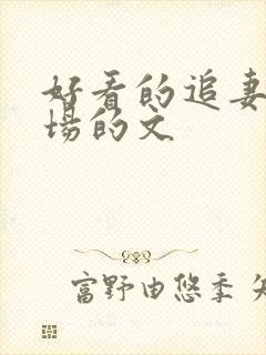 好看的追妻火葬场的文