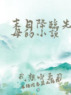 末日降临先杀圣母的小说