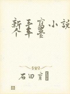 新手写小说去哪个平台