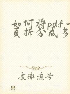 如何将pdf一页拆分成多页