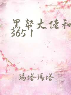 黑帮大佬和我的365 1