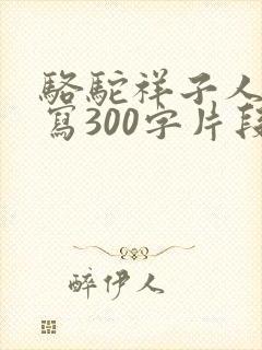 骆驼祥子人物描写300字片段