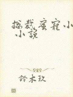 总裁蜜宠小甜妻 小说