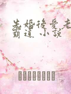 先婚后爱老公太霸道 小说