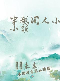 穿越同人小说的小说