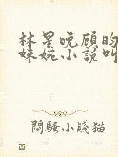 林星晚顾昀霆许姝婉小说叫什么