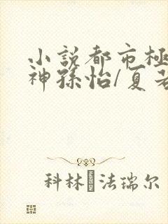 小说都市极品医神孙怡/夏若雪最新章节下载