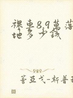 裸车8.9万落地多少钱