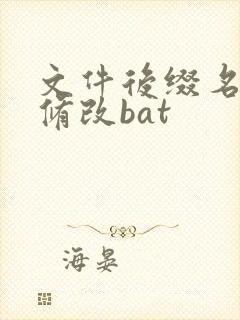 文件后缀名批量修改bat
