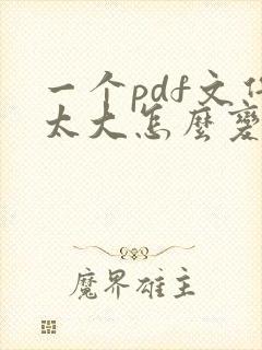 一个pdf文件太大怎么变小