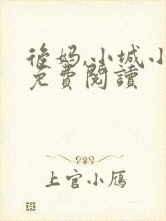 后妈,小城小说免费阅读