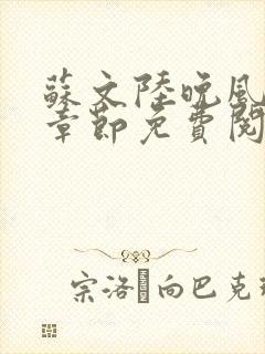 苏文陆晚风最新章节免费阅读笔趣阁