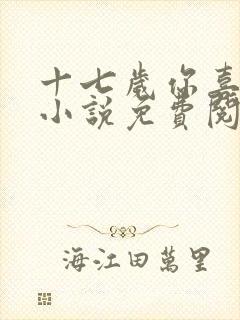 十七岁你喜欢谁小说免费阅读全文