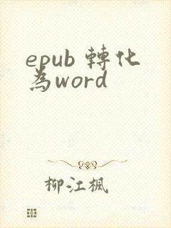 epub 转化为word