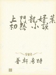 上门龙婿叶辰萧初然 小说