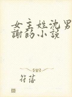 女主姓沈男主姓谢的小说