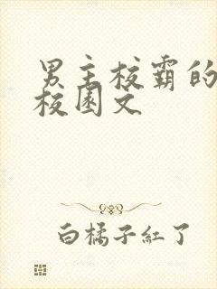 男主校霸的甜宠校园文