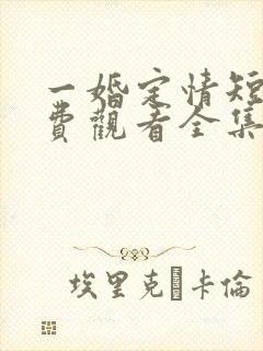 一婚定情短剧免费观看全集