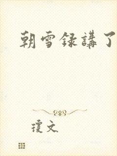 朝雪录讲了啥