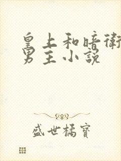 皇上和暗卫的双男主小说