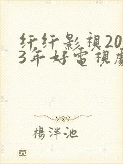 纤纤影视2023年好电视剧琅琊榜