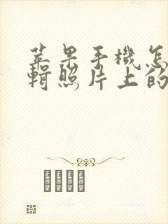 苹果手机怎么编辑照片上的文字