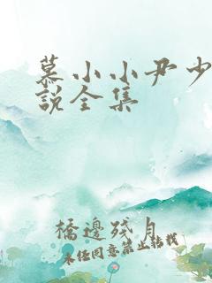 慕小小尹少桀小说全集