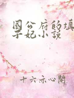 国公府的填房世子妃小说