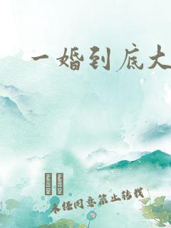 一婚到底大结局
