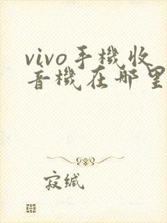 vivo手机收音机在哪里找到