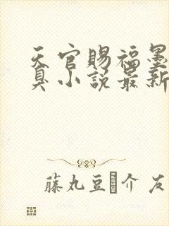 天官赐福墨香铜臭小说最新章节精校版