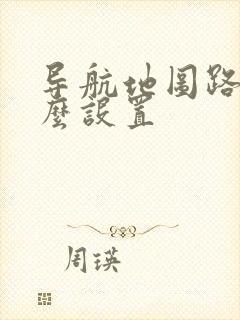 导航地图路线怎么设置