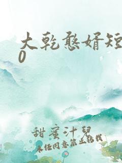 大乾憨婿短剧60