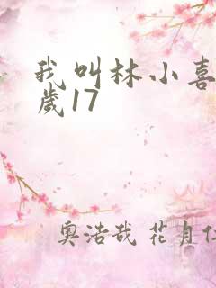 我叫林小喜今年岁17