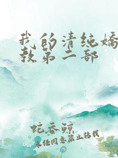我的清纯娇妻调教第二部