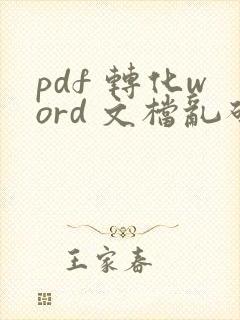pdf 转化word 文档乱码了怎么办?