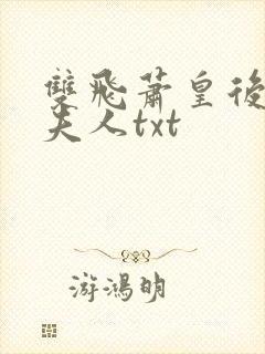 双飞萧皇后宣华夫人txt