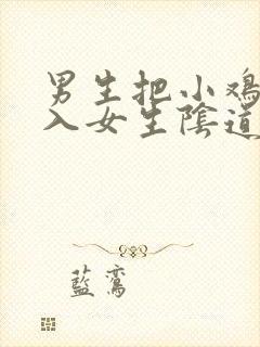 男生把小鸡鸡插入女生阴道的网站