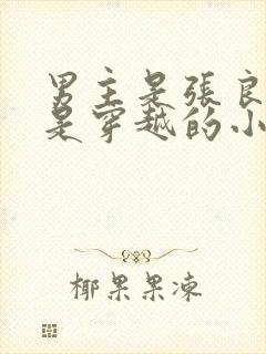 男主是张良女主是穿越的小说