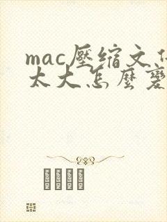 mac压缩文件太大怎么变小