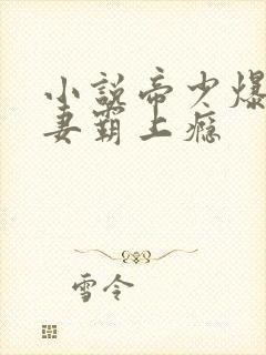 小说帝少爆宠娇妻霸上瘾